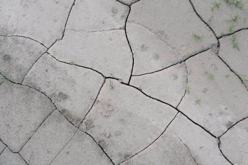 Cracked concrete texture with sprouting grass.