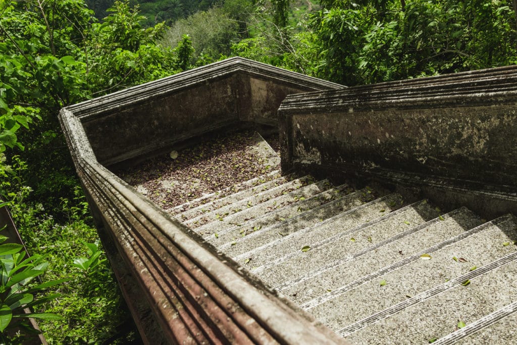 Old stone staircase in lush greenery.