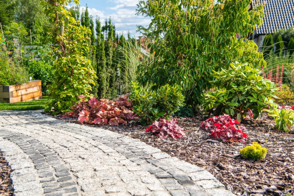 Cobbled pathway in lush garden landscape.