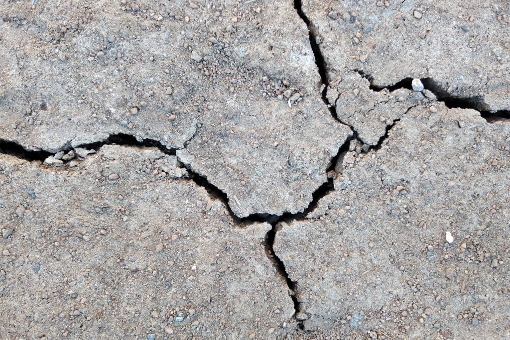 Dry cracked earth texture close-up.