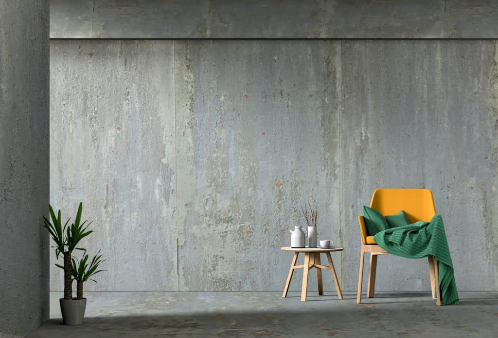 Modern minimalist interior with chair and plant.