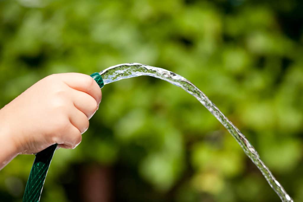 Garden hose spraying water, hand holding, green background.